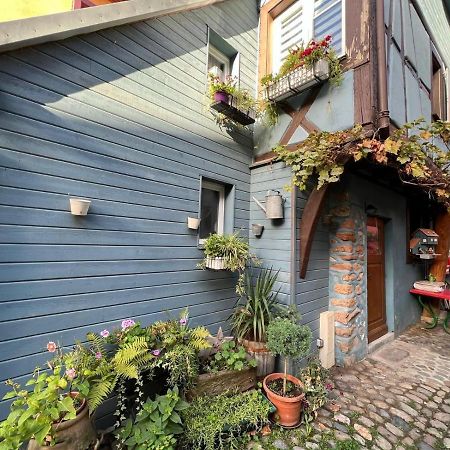 GITE le 70 à TURCKHEIM, 10 min Colmar Turckheim Exterior foto